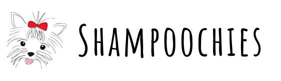 My blog Logo